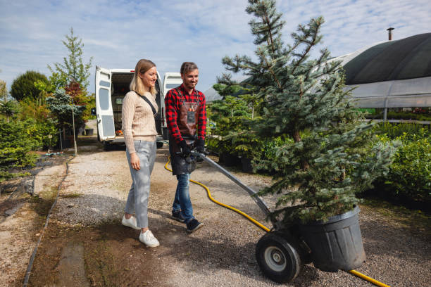 Best Stump Grinding Near Me  in East Grand Forks, MN